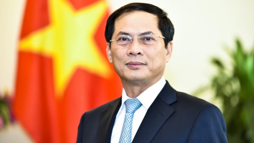 FM Bui Thanh Son to visit Russia this weekend